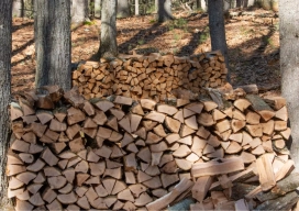 firewood